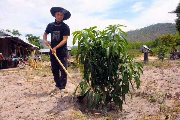 Gia đình anh Vi Văn Khẩn di cư tự do vào khu Cư Bung từ năm 2012. Ảnh: H.S Gia đình anh Vi Văn Khẩn di cư tự do vào khu Cư Bung từ năm 2012. Ảnh: H.S