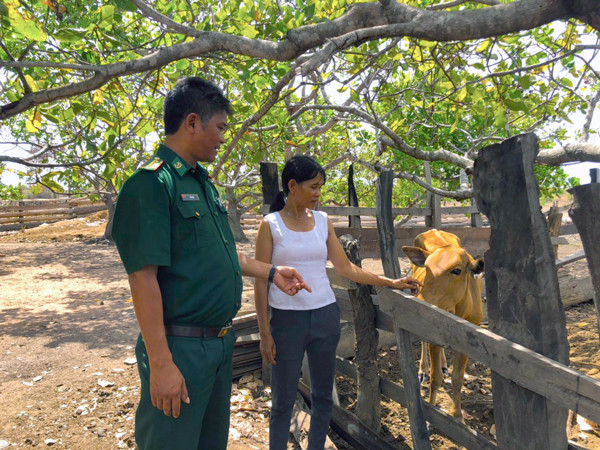  Đại úy Rơ Ô Thuy hướng dẫn chị Ksor Cha (làng Klăh) chăn nuôi bò. Ảnh: A.H