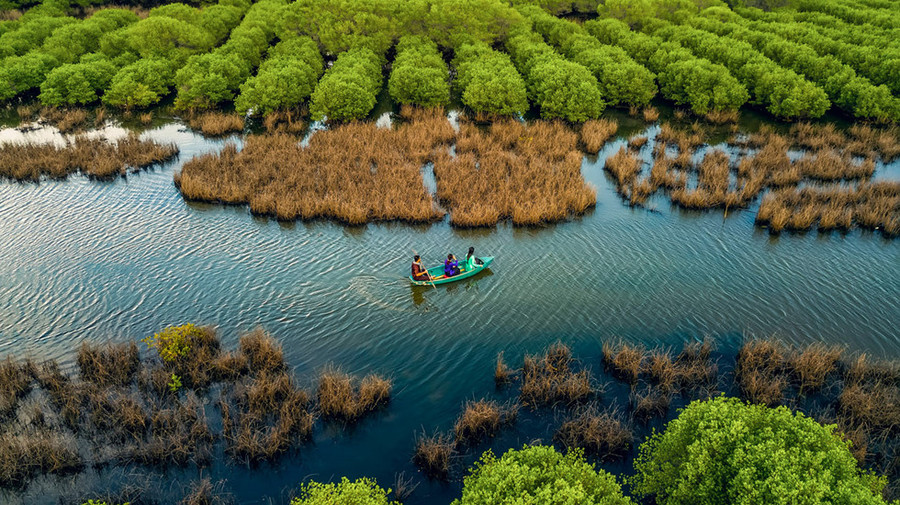 Bàu Cá Cái miền Trung xanh mát nhìn từ trên cao. 