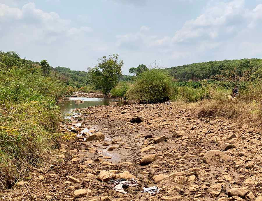 Suối Ia Blan cung cấp nước tưới cho trên 120 ha cà phê của Đội 2 Công ty TNHH MTV Cà phê Ia Blan đã cạn kiệt vì khô hạn. Ảnh: H.D  Suối Ia Blan cung cấp nước tưới cho trên 120 ha cà phê của Đội 2 Công ty TNHH MTV Cà phê Ia Blan đã cạn kiệt vì khô hạn. Ảnh: H.D