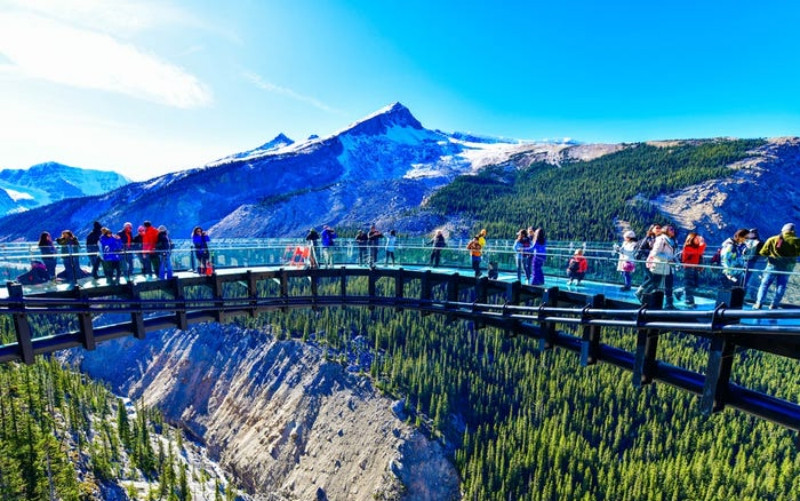 Cầu kính Glacier Skywalk, Alberta ở Canada (Ảnh: Shutterstock)