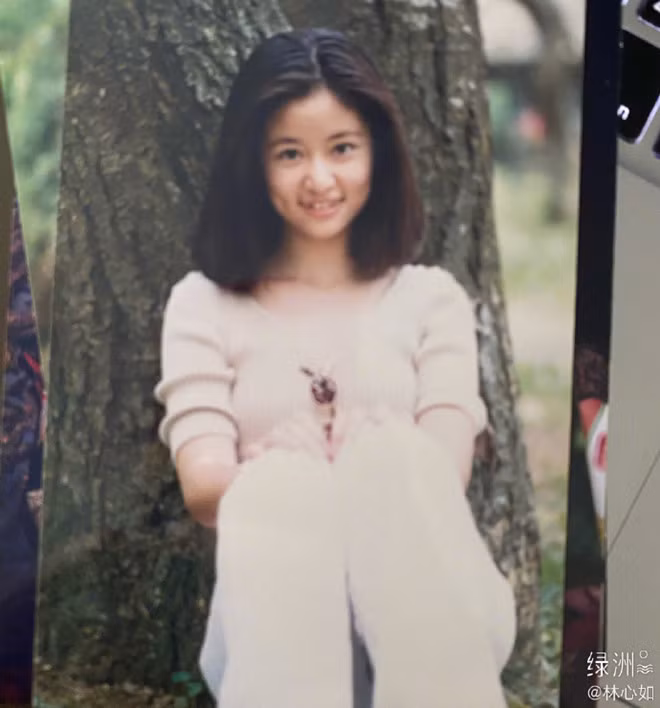 So quá khứ, đường nét trên gương mặt của Lâm Tâm Như không bị biến đổi quá nhiều. ẢNH: INSTAGRAM NV