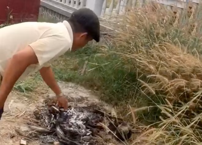  Người dân phát hiện các đoạn xương tại nghĩa trang ở huyện Củ Chi. Ảnh: Zing