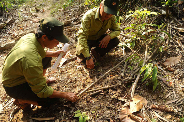 Theo dấu vết voi rừng - Ảnh: LÊ TRUNG