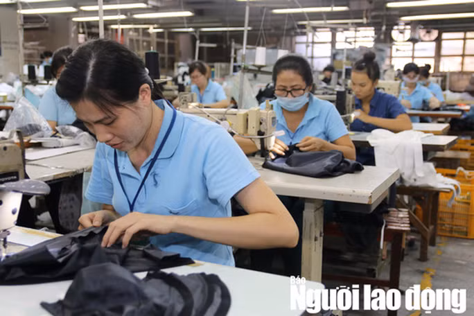 Việc điều chỉnh tăng tuổi nghỉ hưu của người lao động (NLĐ) trong điều kiện lao động bình thường sẽ bắt đầu từ năm 2021 với lộ trình mỗi năm tăng thêm 4 tháng đối với lao động nữ cho đến đủ 60 tuổi vào năm 2035. Việc điều chỉnh tăng tuổi nghỉ hưu của người lao động (NLĐ) trong điều kiện lao động bình thường sẽ bắt đầu từ năm 2021 với lộ trình mỗi năm tăng thêm 4 tháng đối với lao động nữ cho đến đủ 60 tuổi vào năm 2035.