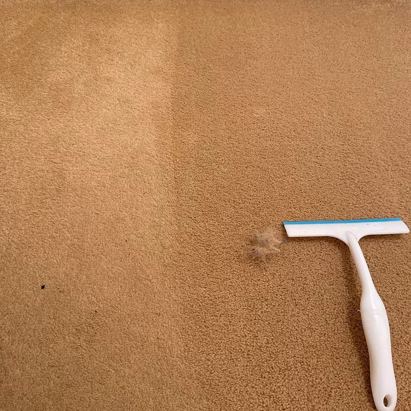 8. Cây gạt nước squeegee có thể được tận dụng để làm sạch bề mặt thảm trong nhà.