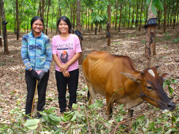 Em Rơ Châm Lai (bìa trái)-là con gái được ông Rơ Lan Hít và bà Rơ Châm Phêm nhận nuôi từ lúc mới sinh ra. Ảnh: T.B