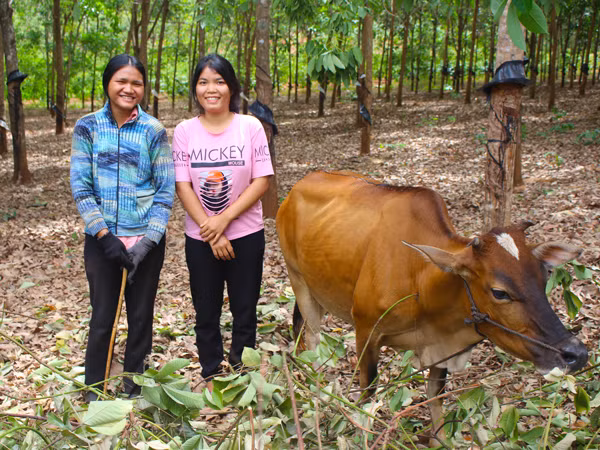 Em Rơ Châm Lai (bìa trái)-là con gái được ông Rơ Lan Hít và bà Rơ Châm Phêm nhận nuôi từ lúc mới sinh ra. Ảnh: T.B