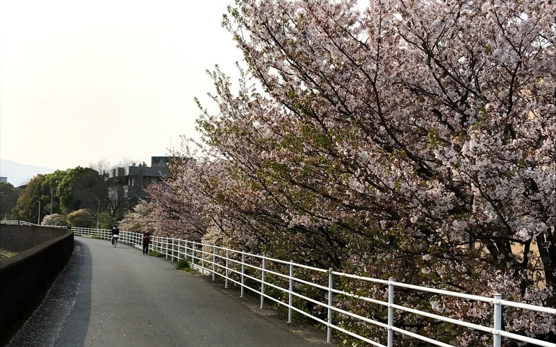 (Ảnh: Nhật Mỹ)