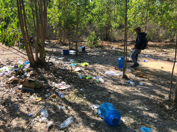 Sới gà được tổ chức trong khu vực rừng bạch đàn. Ảnh: L.V.N