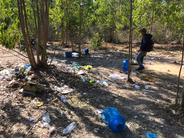 Sới gà được tổ chức trong khu vực rừng bạch đàn. Ảnh: L.V.N