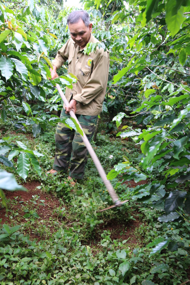 Già làng Ya Ga cũng phải chịu “thân phận chàng rể” theo phong tục Churu.