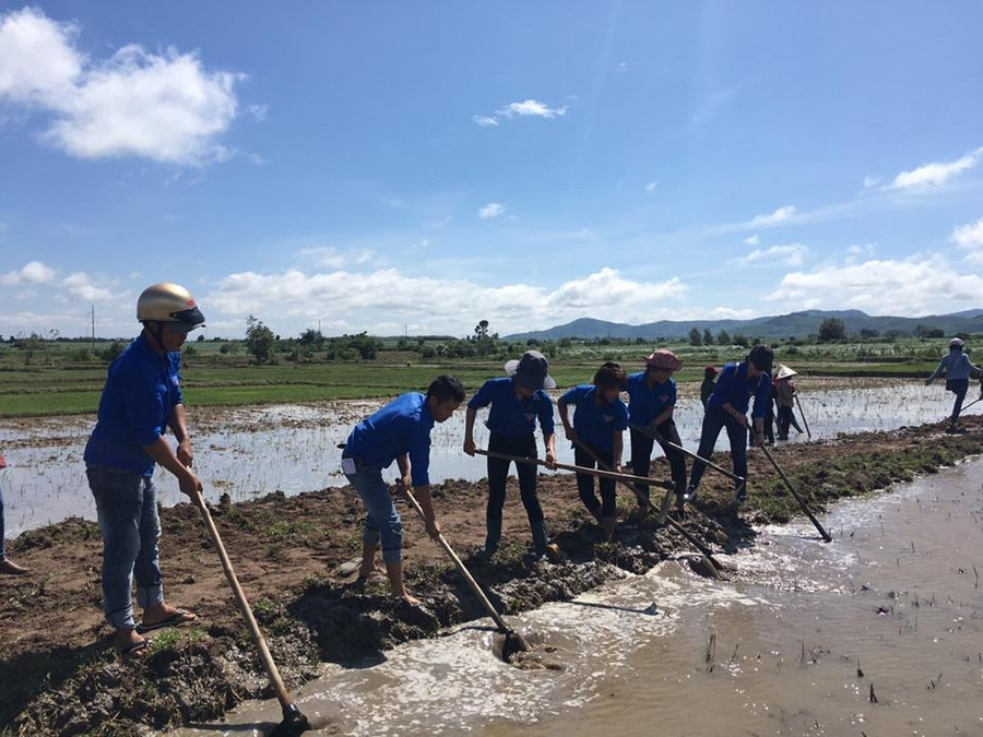  Sửa chữa đường nội đồng. Ảnh: Nguyễn Hiền
