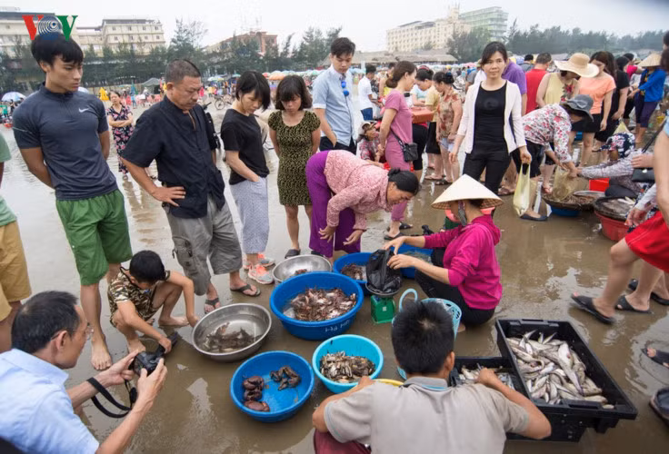 Hầu hết hải sản được bán cho du khách làm quà.