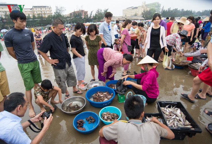 Hầu hết hải sản được bán cho du khách làm quà.