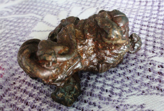 Cận cảnh 7 vật thể lạ vừa được tìm thấy trong dạ dày con dê Cận cảnh 7 vật thể lạ vừa được tìm thấy trong dạ dày con dê