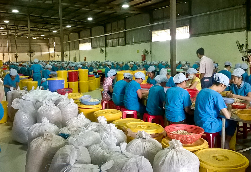 Sản xuất, kinh doanh phát triển sẽ tạo nguồn thu cao, bền vững cho NSNN. Ảnh: Mộc Trà Sản xuất, kinh doanh phát triển sẽ tạo nguồn thu cao, bền vững cho ngân sách Nhà nước. Ảnh: Mộc Trà