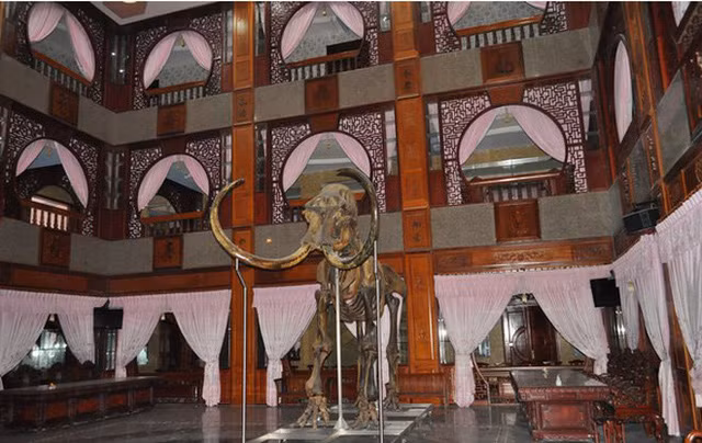  Bộ xương voi ma mút trong dinh thự của đại gia Trầm Bê.