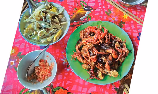 Cua núi rang me - một đặc sản của núi Cấm vào mùa mưa