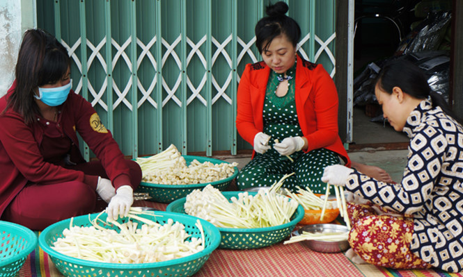 Chế biến bồn bồn làm dưa. Chế biến bồn bồn làm dưa.