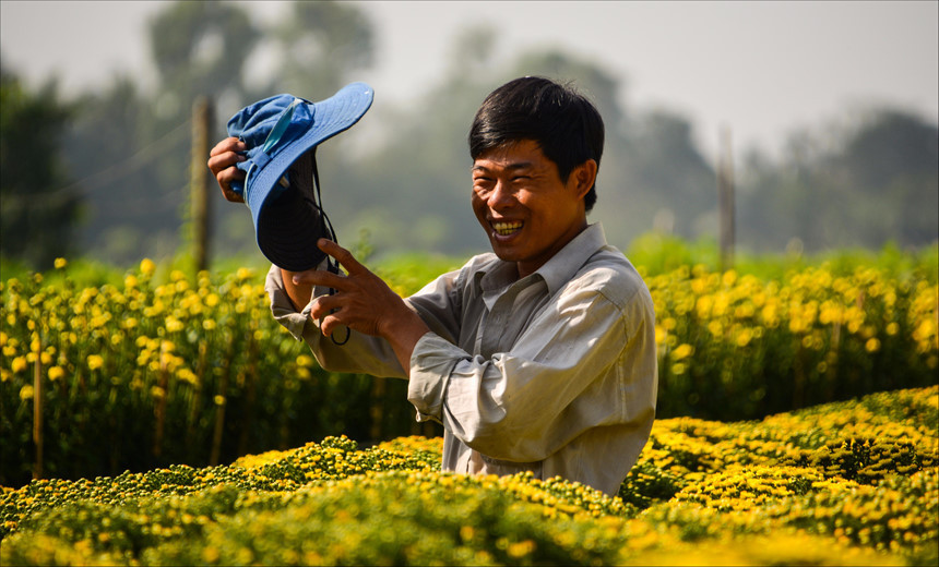 Nụ cười hiền lành của một người nông dân đang chăm sóc vườn bông cúc vàng tại làng hoa Sa Đéc (Đồng Tháp). Cứ mỗi độ xuân về, làng hoa lại tấp nập những chiếc ghe chở hoa đầy màu sắc. Đặc biệt nhất có lẽ là những chậu cúc mâm xôi ươm màu nắng. Sắc xuân nhuộm vàng nụ cười người nông dân miền sông nước. Cả mùa xuân cứ thế tràn về rực rỡ. Ảnh: Hà Hoàng Anh.
