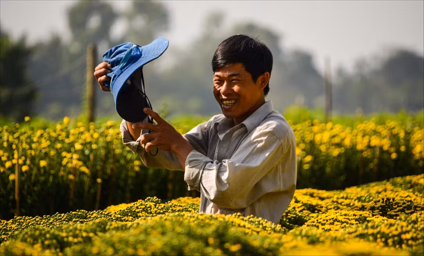 Nụ cười hiền lành của một người nông dân đang chăm sóc vườn bông cúc vàng tại làng hoa Sa Đéc (Đồng Tháp). Cứ mỗi độ xuân về, làng hoa lại tấp nập những chiếc ghe chở hoa đầy màu sắc. Đặc biệt nhất có lẽ là những chậu cúc mâm xôi ươm màu nắng. Sắc xuân nhuộm vàng nụ cười người nông dân miền sông nước. Cả mùa xuân cứ thế tràn về rực rỡ. Ảnh: Hà Hoàng Anh.