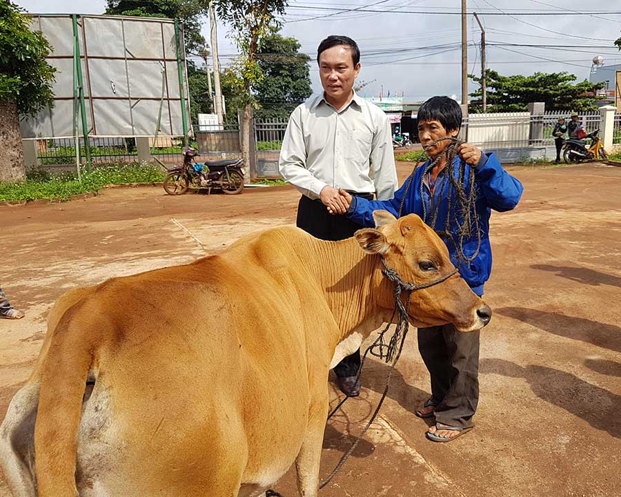 Cấp bò cho hộ ông Rlan Nhok, đối tượng có công với cách mạng, xã Ia Hrú. Ảnh: Lê Trang  Cấp bò cho hộ ông Rlan Nhok, đối tượng có công với cách mạng, xã Ia Hrú. Ảnh: Lê Trang