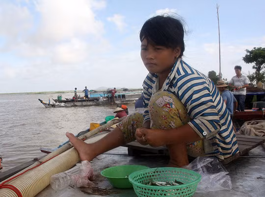 Những em nhỏ theo cha, mẹ ra đồng mùa nước nổi.