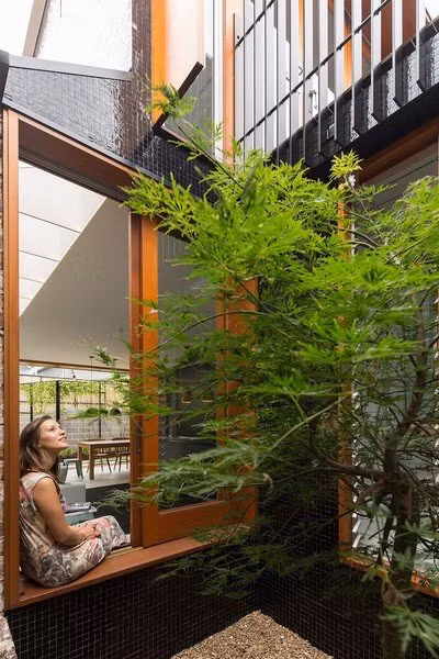 Những tia sáng luồn qua các khe gỗ mà chạy thẳng vào trong nhà.