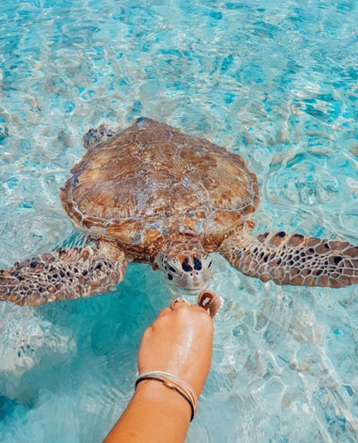 Chụp ảnh thiên nhiên cùng với con người. Những bức ảnh là cách bạn ghi lại trải nghiệm và cảm nhận của bản thân trong mỗi chuyến đi một cách sống động nhất. Vì vậy thay vì chỉ chụp hình ảnh bản thân mình, bạn có thể chụp những bức ảnh về con người, khung cảnh thiên nhiên hay nét đặc sắc về văn hóa truyền thống, chính điều đó tạo nên điểm nhấn khác biệt cho bức ảnh du lịch của bạn.