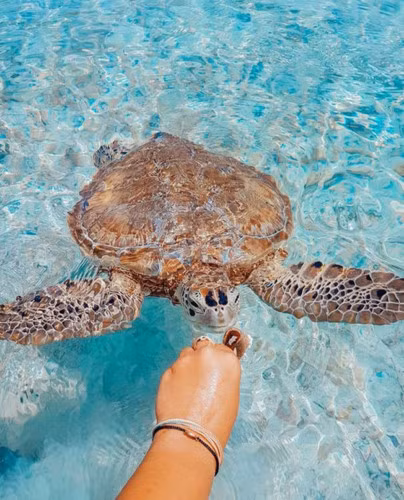 Chụp ảnh thiên nhiên cùng với con người. Những bức ảnh là cách bạn ghi lại trải nghiệm và cảm nhận của bản thân trong mỗi chuyến đi một cách sống động nhất. Vì vậy thay vì chỉ chụp hình ảnh bản thân mình, bạn có thể chụp những bức ảnh về con người, khung cảnh thiên nhiên hay nét đặc sắc về văn hóa truyền thống, chính điều đó tạo nên điểm nhấn khác biệt cho bức ảnh du lịch của bạn.