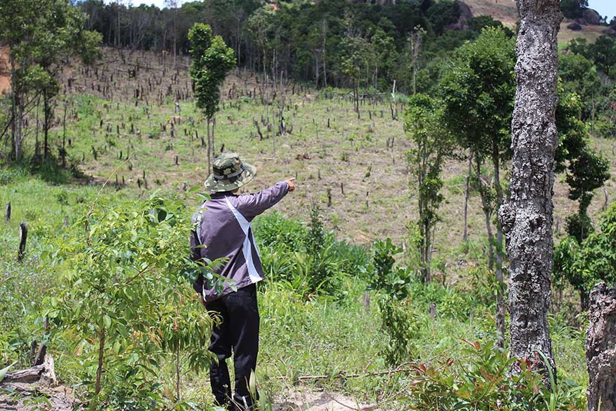 Ảnh: Nguyễn Diệp Nguyễn Diệp