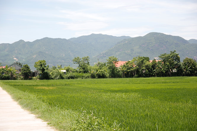 Khu vực kinh thành Sư tử ngày xưa Khu vực kinh thành Sư tử ngày xưa