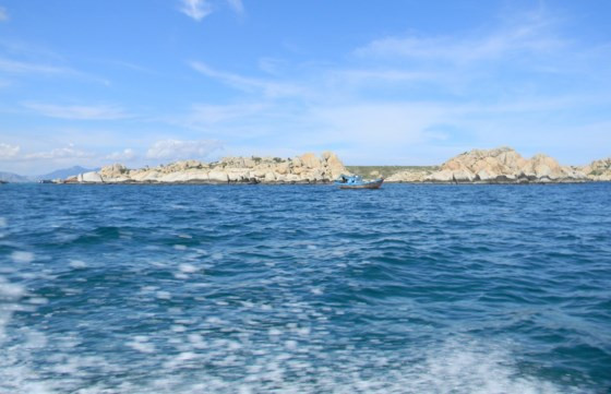 Đảo Hòn Cau (hay còn gọi Cù Lao Câu) có diện tích 140 ha. Năm 2010, Hòn Cau được công nhận là Khu bảo tồn biển. Toàn bộ diện tích của khu bảo tồn biển rộng khoảng 12.500 ha bao gồm cả diện tích đảo cùng vành đai bảo vệ và các vùng lõi, vùng đệm, vùng phục hồi sinh thái…