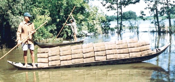 Người dân vùng lũ ĐBSCL đặt lọp tép mưu sinh