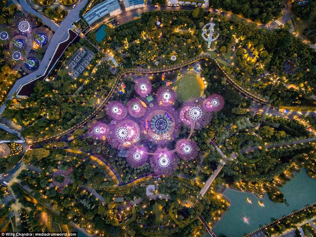  Một trong những khu vui chơi nổi tiếng tại Singapore với màu tím làm chủ đạo