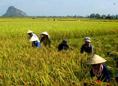 Ảnh nguồn internet