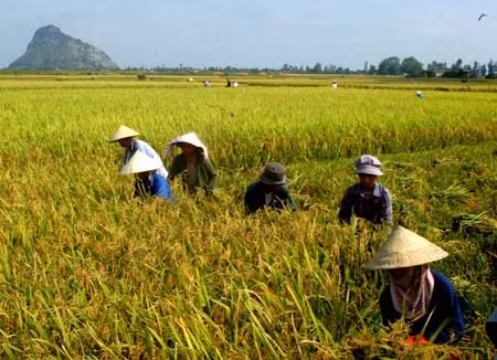 Ảnh nguồn internet