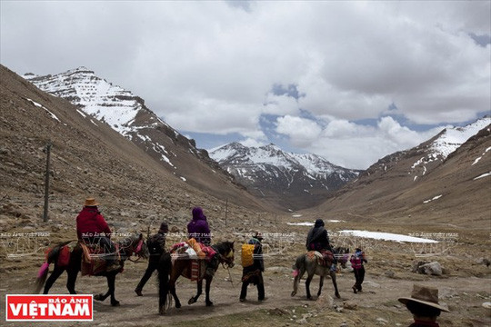 Du khách đi ngựa vòng quanh núi Kailash. Du khách đi ngựa vòng quanh núi Kailash.