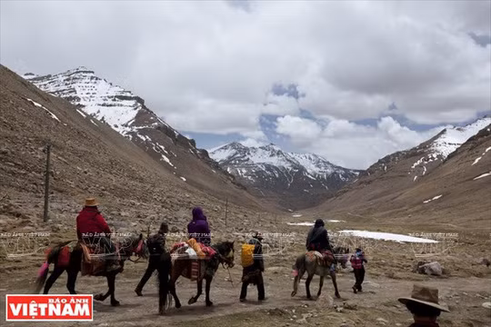 Du khách đi ngựa vòng quanh núi Kailash.