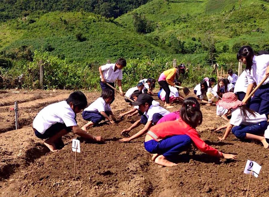Thầy Toàn hướng dẫn học trò của mình trồng rau sau sân trường. Ảnh: Hồng Thi Thầy Toàn hướng dẫn học trò của mình trồng rau sau sân trường. Ảnh: Hồng Thi