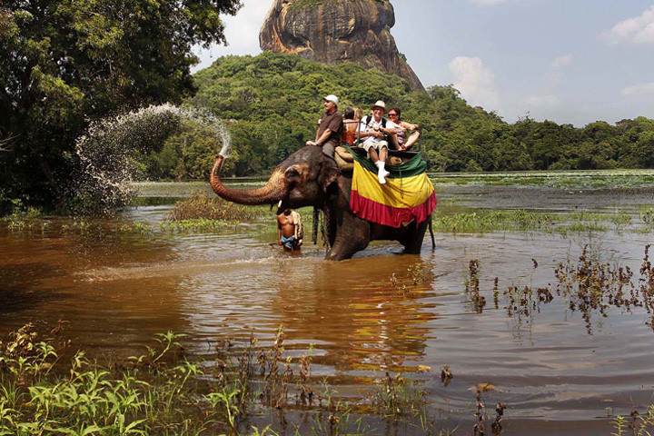 Một chú voi chở du khách và tinh nghịch phun nước ở Sigiriya, cách thủ đô Colombo của Sri Lanka 100 km về phía tây bắc. Ảnh: ap.