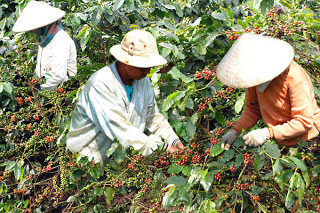 Ảnh minh họa Ảnh minh họa