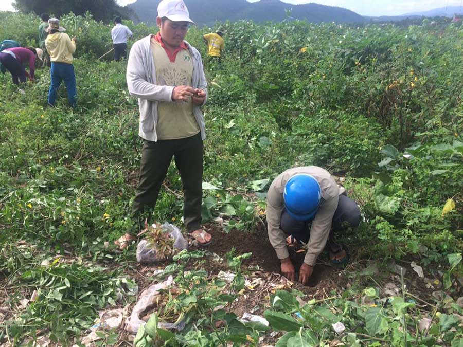  Nhân dân trồng cây dọc bờ sông Pa. Ảnh: Hoàng Hiền