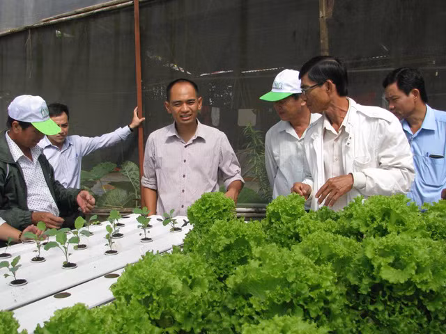 Nguyễn Đức Huy (thứ 3, từ trái sang) chia sẻ kinh nghiệm làm vườn cho các đoàn khách tham quan.