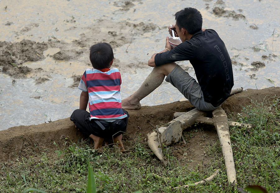 Ăn xong sẽ lại vác cày xuống ruộng làm tiếp.