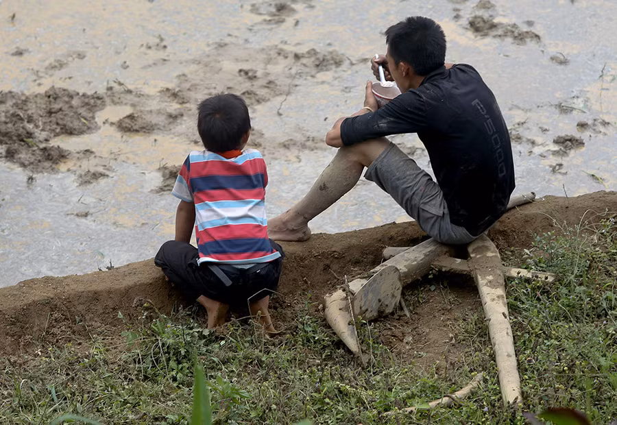Ăn xong sẽ lại vác cày xuống ruộng làm tiếp.