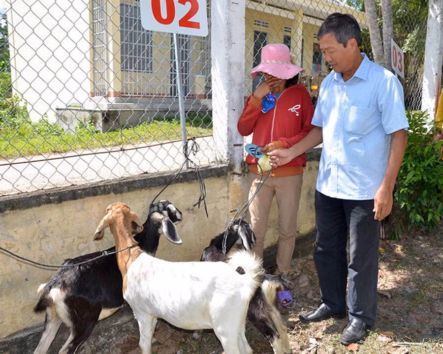 Phó Chủ tịch Ủy ban MTTQ Việt Nam tỉnh Nguyễn Thành Nuôi trao tặng dê cho hộ nghèo xã Ia Rtô. Ảnh: Đức Phương