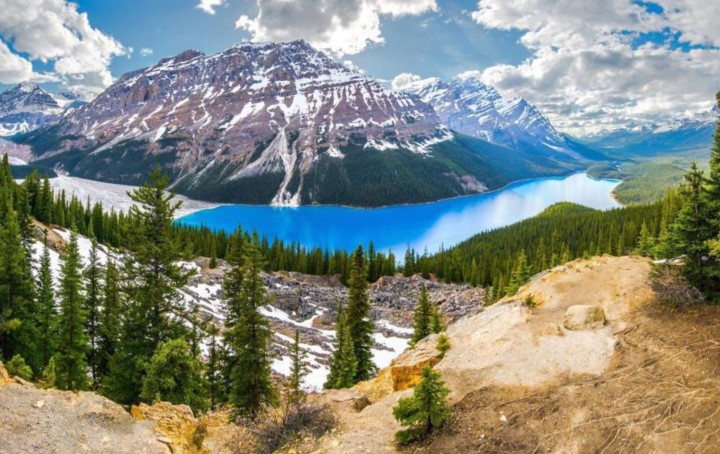 Hồ Peyto Lake, Canada. Hãy chiêm ngưỡng những màu sắc tương phản tuyệt vời này, người Canada rất may mắn khi có thể ghé thăm hồ bất cứ lúc nào họ muốn.