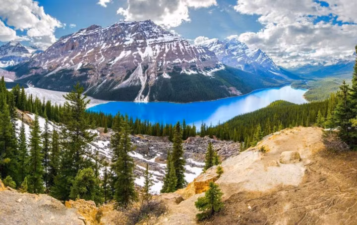 Hồ Peyto Lake, Canada. Hãy chiêm ngưỡng những màu sắc tương phản tuyệt vời này, người Canada rất may mắn khi có thể ghé thăm hồ bất cứ lúc nào họ muốn.